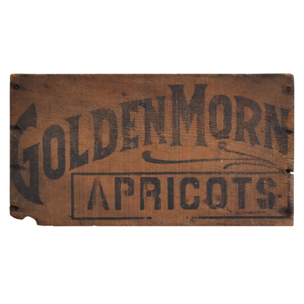 Wooden Box Panel: Golden Morn Apricots