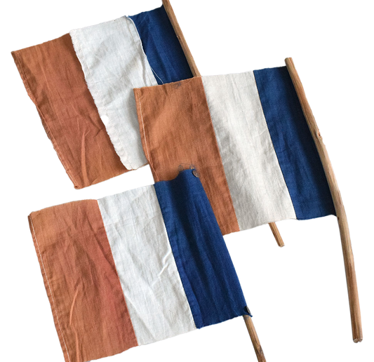 French Tricolore Parade Flags